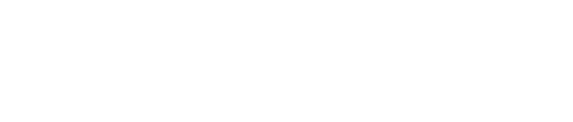 The Executive Magazine logo